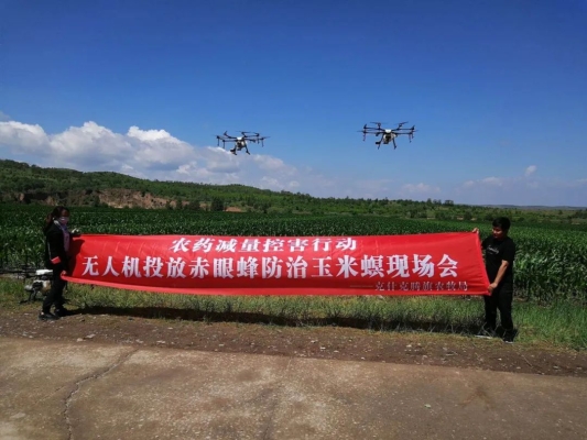 赤峰种子农药门市电话号码是多少-第1张图片