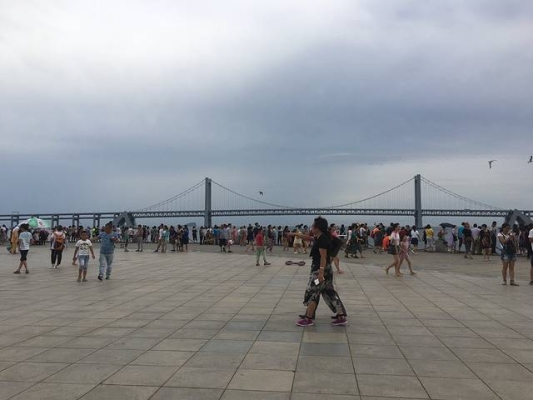 赤峰市碰碰车俱乐部电话号码-第1张图片