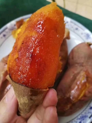 赤峰烟薯25号批发电话号码-第1张图片