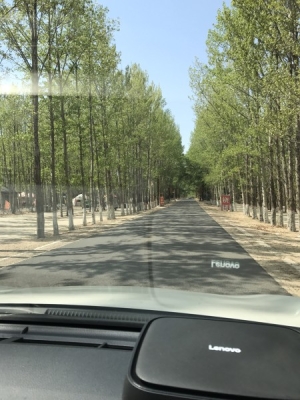 赤峰收马蜂窝电话地址查询-第1张图片