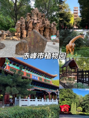 赤峰红山区甘路社区电话号码-第1张图片