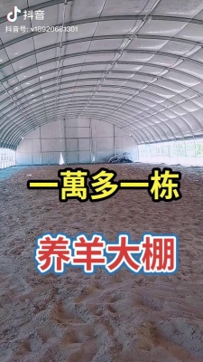 赤峰养殖大棚养羊基地电话号码-第1张图片