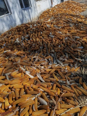 赤峰林西玩具厂地址电话号码-第1张图片