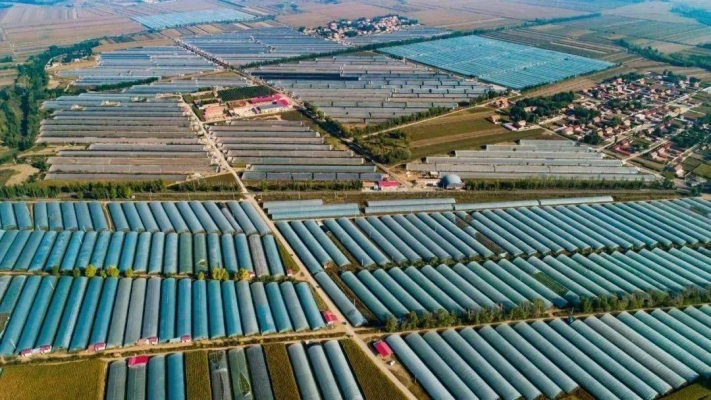 赤峰市养殖牛羊基地电话号码-第1张图片