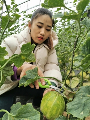 赤峰市区本地人菜馆电话号码-第1张图片