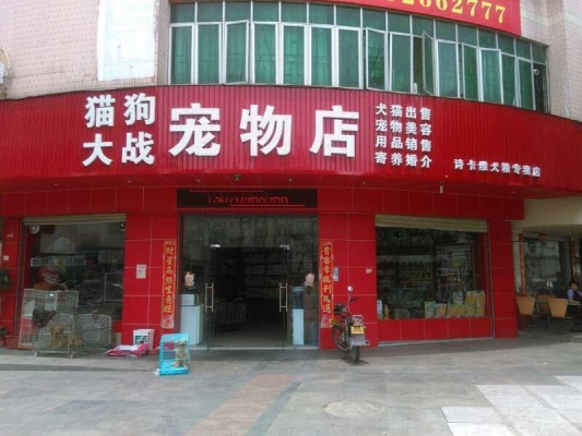 赤峰坑人宠物店电话多少号-第1张图片