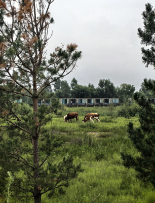 赤峰市红山驾校联系电话号码-第1张图片