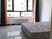 赤峰宠物店新城电话号码多少-第1张图片