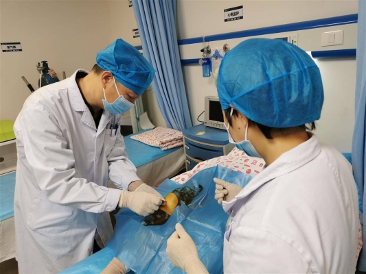 赤峰林东血浆站电话号码是多少-第1张图片