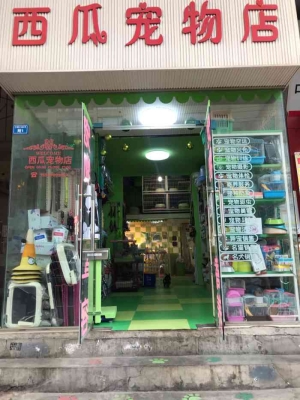 赤峰市宠物店兔子电话号码-第1张图片