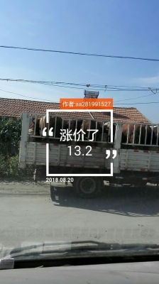 赤峰市直播音频销售电话号码-第1张图片