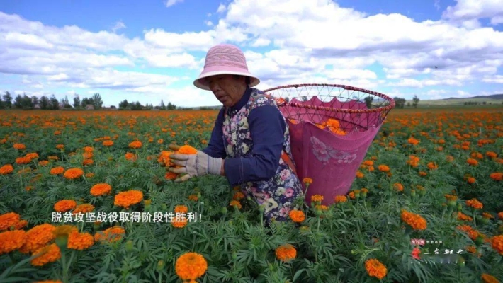 赤峰回收废玻璃渣电话地址查询-第1张图片