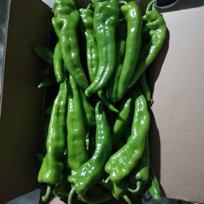 赤峰蔬菜包装材料厂电话号码-第1张图片