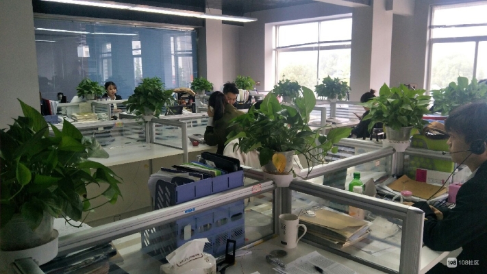 赤峰市大本营社区电话号码-第1张图片