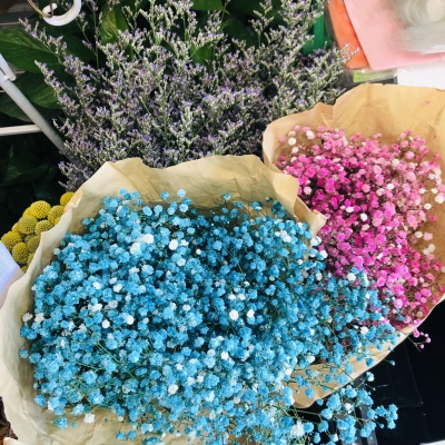 赤峰市大板镇花店电话地址查询-第1张图片