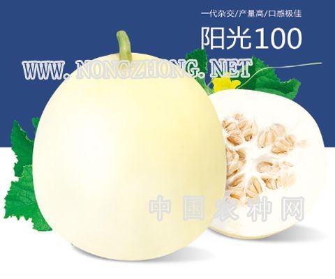 赤峰甜瓜代卖网电话号码查询-第1张图片