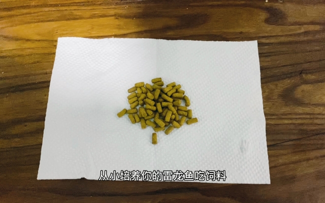 赤峰雷龙鱼饲料专卖店电话号码-第1张图片