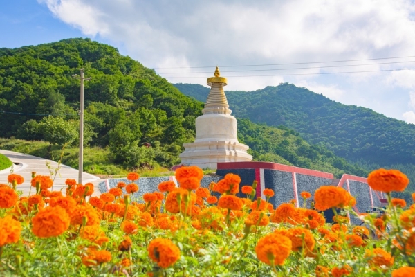 赤峰康宁寺藏药店电话号码查询-第1张图片