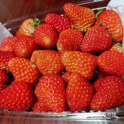 赤峰鸡冻产品批发电话地址查询-第1张图片