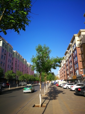 赤峰市红山审计局电话号码-第1张图片