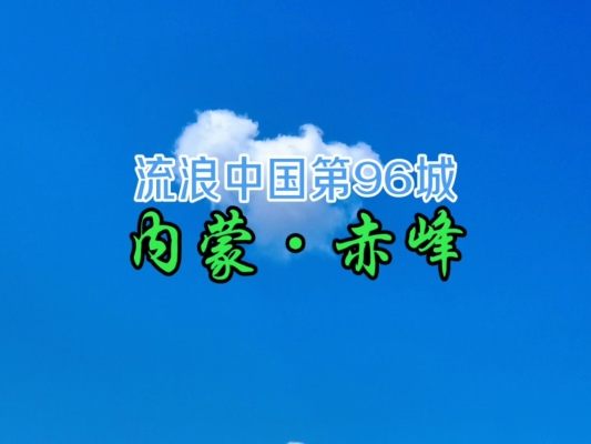 赤峰丽娜烧烤地址查询电话号码-第1张图片