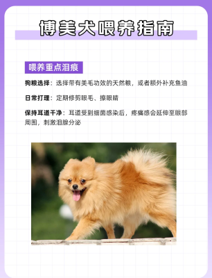 赤峰博美美容院地址电话号码-第1张图片