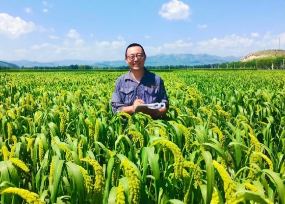 赤峰潮男吊坠店电话号码-第1张图片