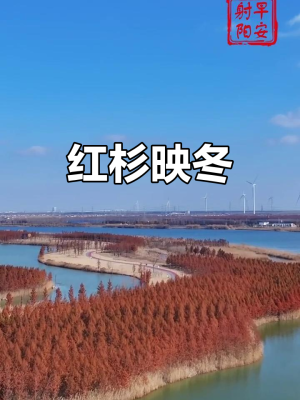 赤峰红杉树补课班地址电话号码-第1张图片