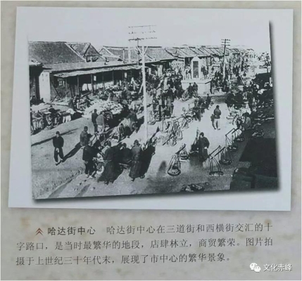 赤峰头道街卖鸽子电话地址是多少-第1张图片