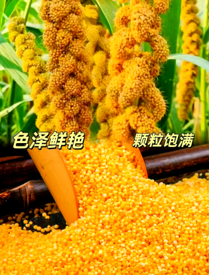 赤峰卖小米的地方电话是多少号-第1张图片
