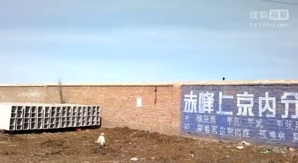赤峰萌宠山庄电话多少啊-第1张图片