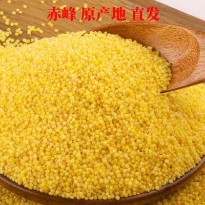 赤峰金磊理发店地址电话号码-第1张图片