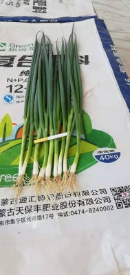 赤峰敖汉西式快餐店电话是多少-第1张图片