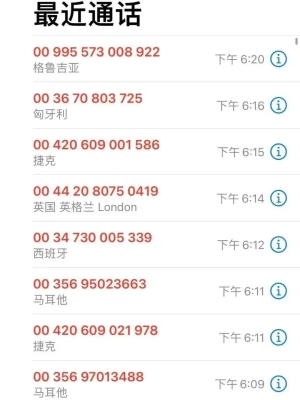 赤峰大庙镇税务所电话号码是多少-第1张图片