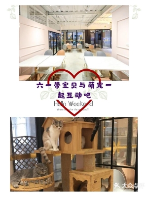 赤峰市宠物乐园团购电话号码-第1张图片