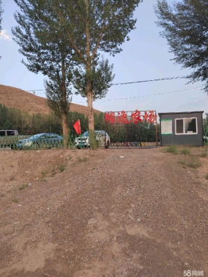 赤峰露营出租车电话号码查询-第1张图片