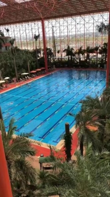 赤峰市小狗游泳馆电话号码-第1张图片