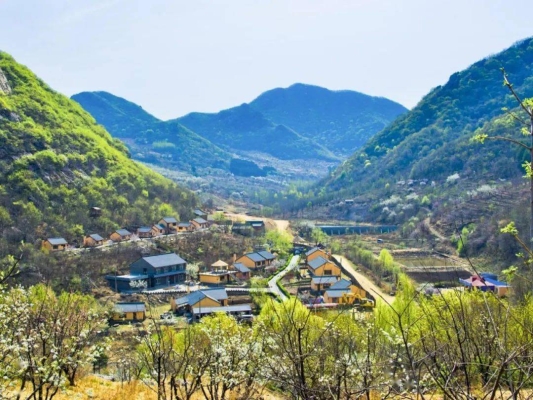 赤峰三问书屋电话号码多少号-第1张图片