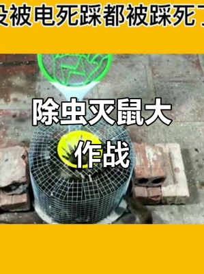 赤峰市灭老鼠公司电话地址查询-第1张图片