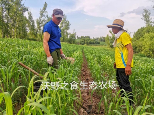 赤峰旅游农场地址电话查询号码-第1张图片