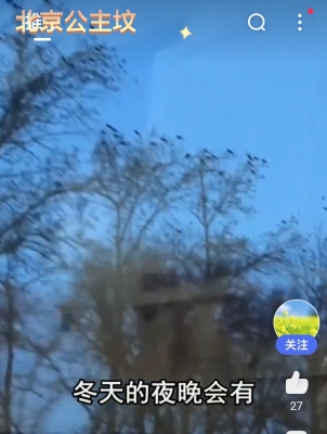 赤峰市烟花爆竹监控电话号码-第1张图片
