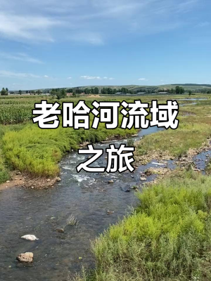赤峰宁城县日租车公司电话号码-第1张图片