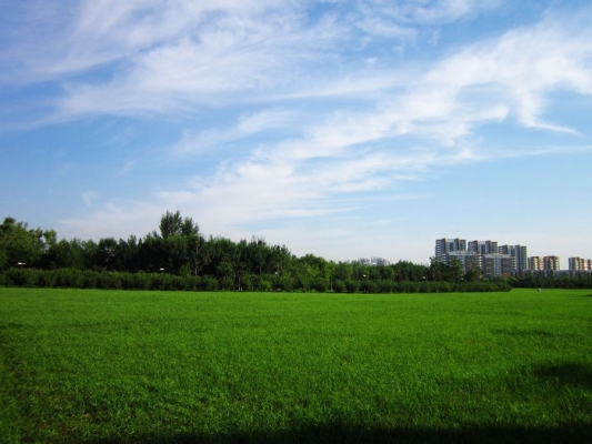 赤峰市石博园管理电话号码-第1张图片