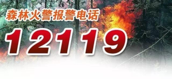 赤峰市医保报备电话号码是多少-第1张图片
