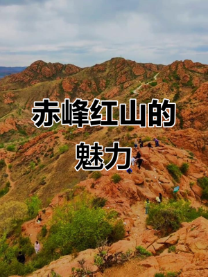 赤峰市红山珍珍诊所电话号码-第1张图片
