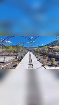 赤峰市玉龙川景区电话号码是多少-第1张图片