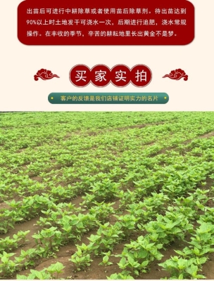 赤峰市种子公司电话号码-第1张图片