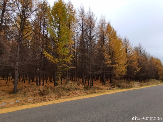 赤峰坑烤山庄电话号码查询是多少-第1张图片