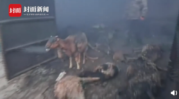 赤峰保温羊棚电话号码多少号-第1张图片
