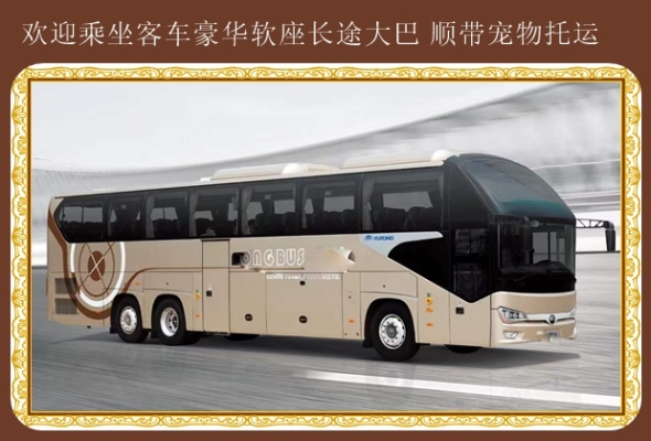 赤峰市卧铺客车电话号码查询-第1张图片